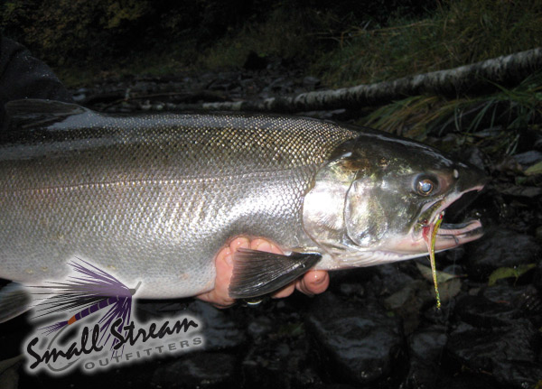 Drift Fishing for Fall Coho Salmon 
